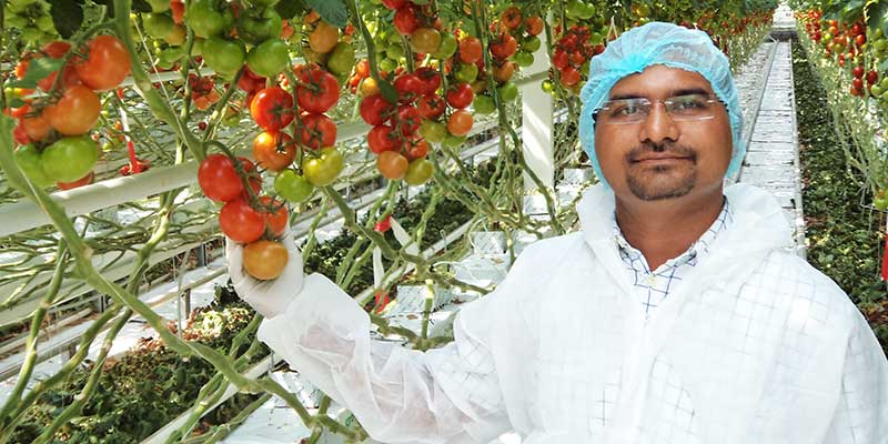 About Greencart Agri Solutions