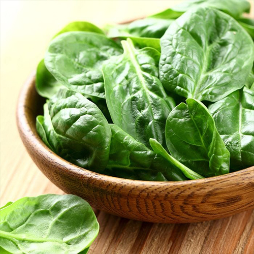 Speciality Spinach