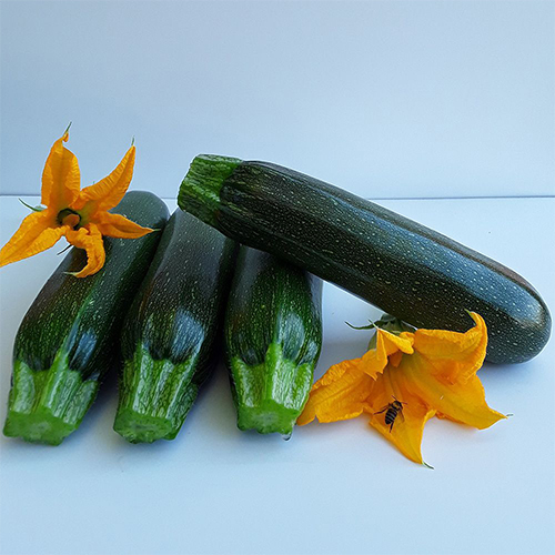 Squash Types