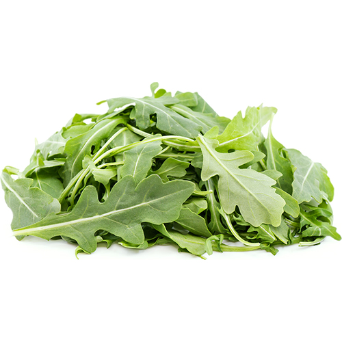 Rocket Arugula