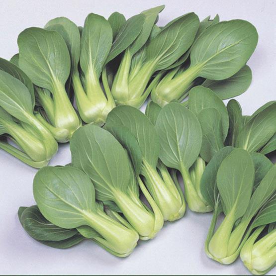Pakchoi Green Stem