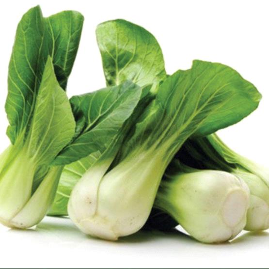 Pakchoi White Stem