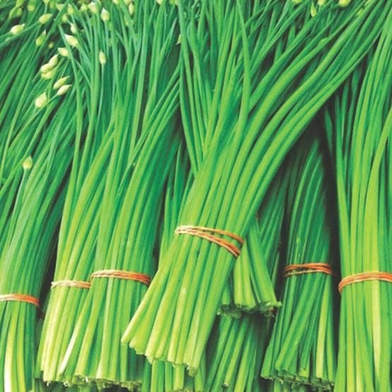 Chives