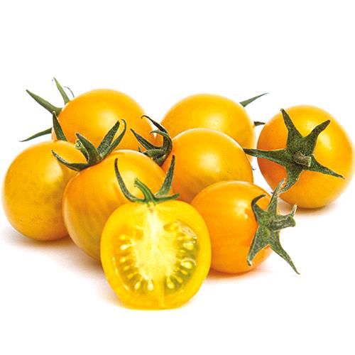 Cherry Tomato Yellow Round