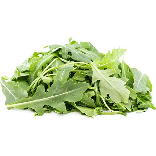 Arugula Cultivated Improved Rocket
