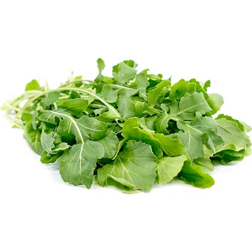 Arugula Cultivated Rocket