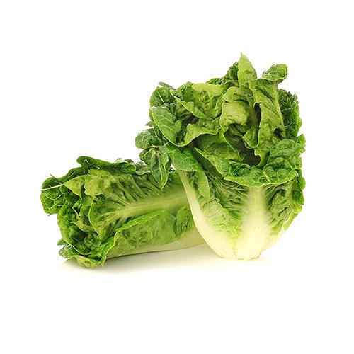 Romain Little Gem Lettuce